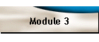Module 3
