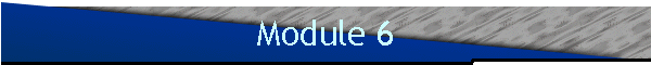 Module 6