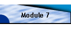 Module 7