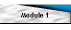 Module 1