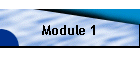 Module 1